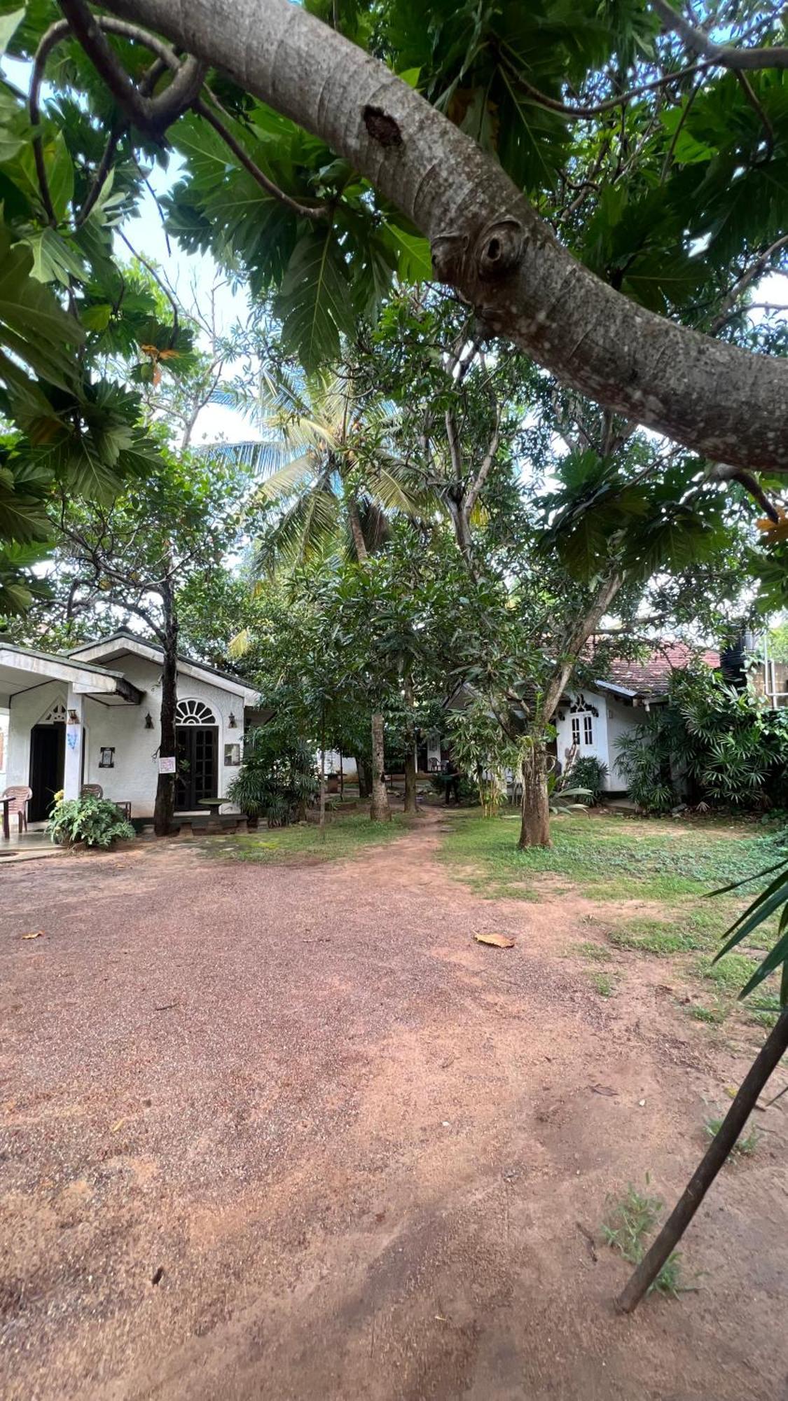 Sylvester Villa Hostel Negombo Exterior foto